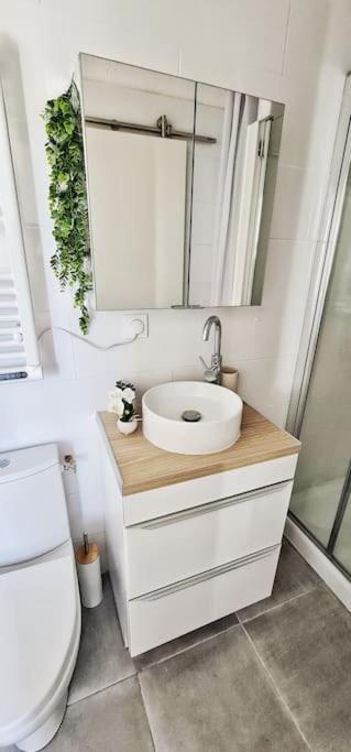 New #Boheme Chic# Pied De La Cite #2 Daire Carcassonne Dış mekan fotoğraf